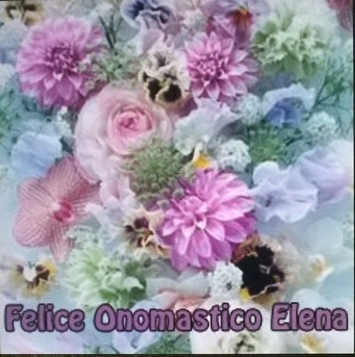 Buon Onomastico Elena