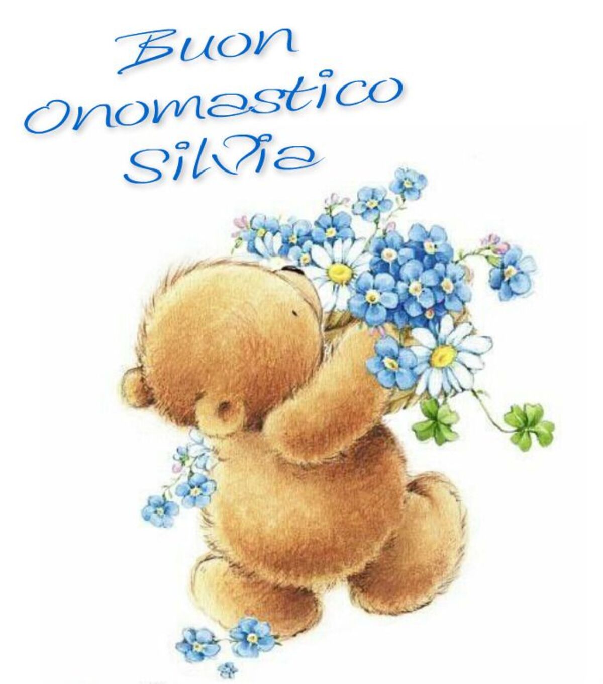 Buon Onomastico Silvia