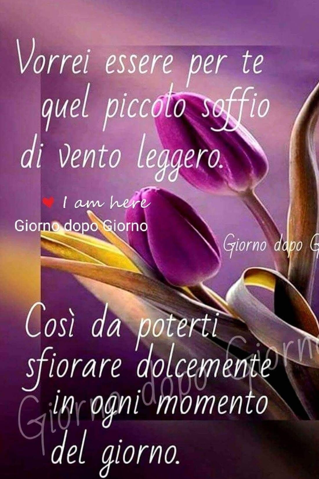 Vorrei essere per te quel piccolo soffio di vento leggero. Così da poterti sfiorare dolcemente in ogni momento del giorno