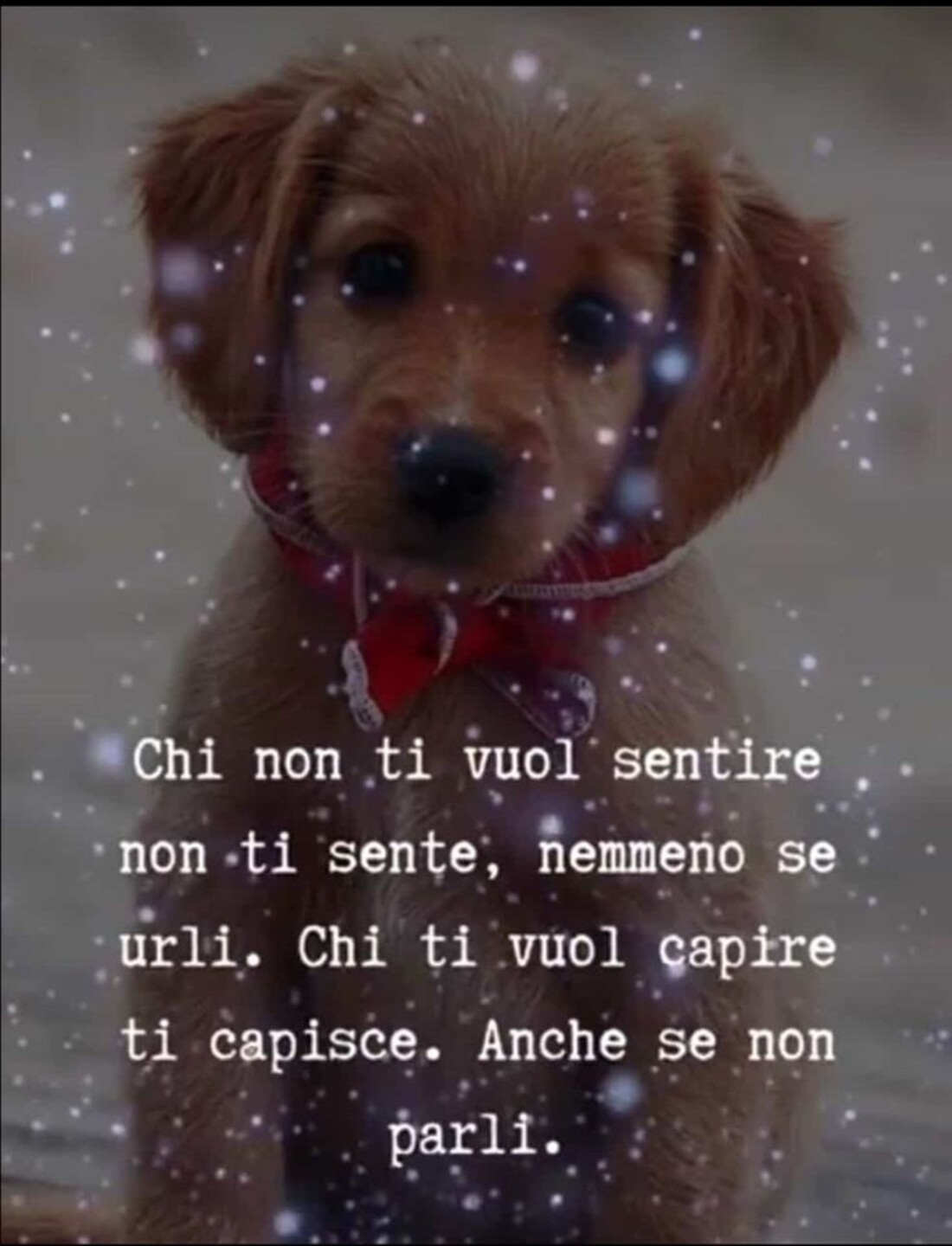 Chi non ti vuole sentire non ti sente, nemmeno se urli. Chi ti vuol capire ti capisce. Anche se non parli