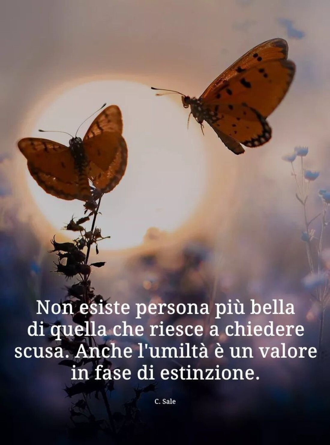 Non esiste persona più bella di quella che riesce a chiedere scusa. Anche l'umiltà è un valore in fase di estinzione.