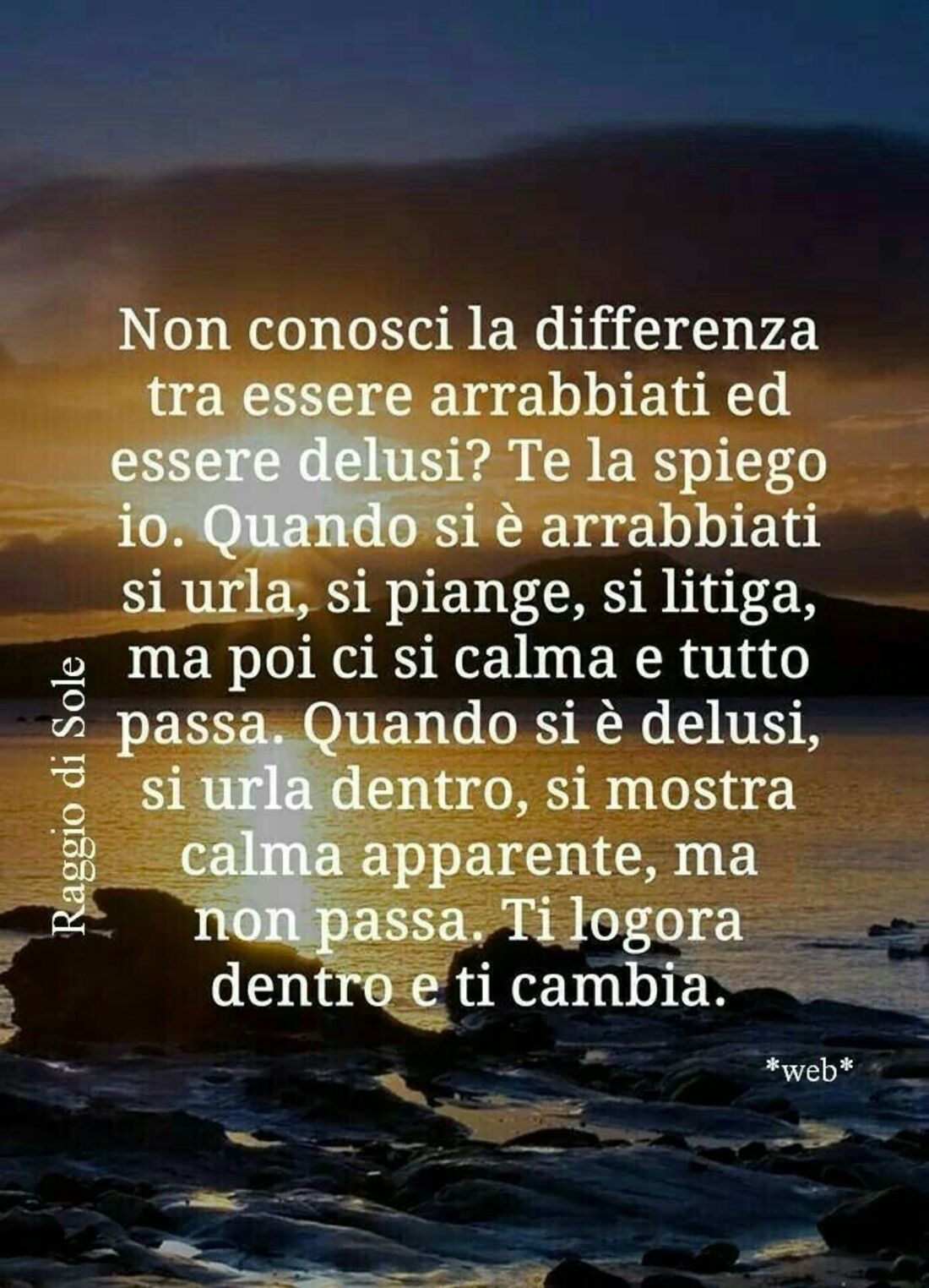 Non conosci la differenza tra essere arrabbiati ed essere delusi? te la spiego io. Quando si è arrabbiati si urla, si piange, si litiga, ma poi ci si calma e tutto passa. Quando si è delusi si urla dentro, si mostra calma apparente, ma non passa. Ti logora dentro e ti cambia.