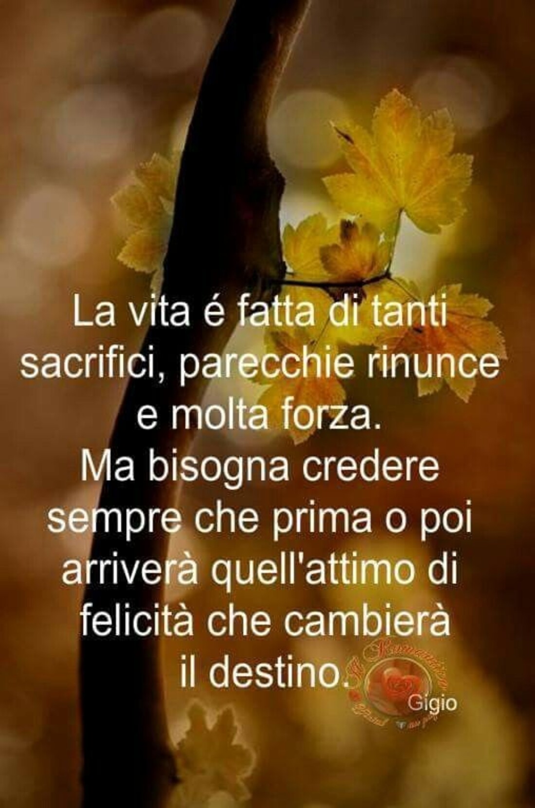 La vita è fatta di tanti sacrifici...parecchie rinunce e molta forza. Ma bisogna credere sempre che prima o poi arriverà quell'attimo di felicità che cambierà il destino