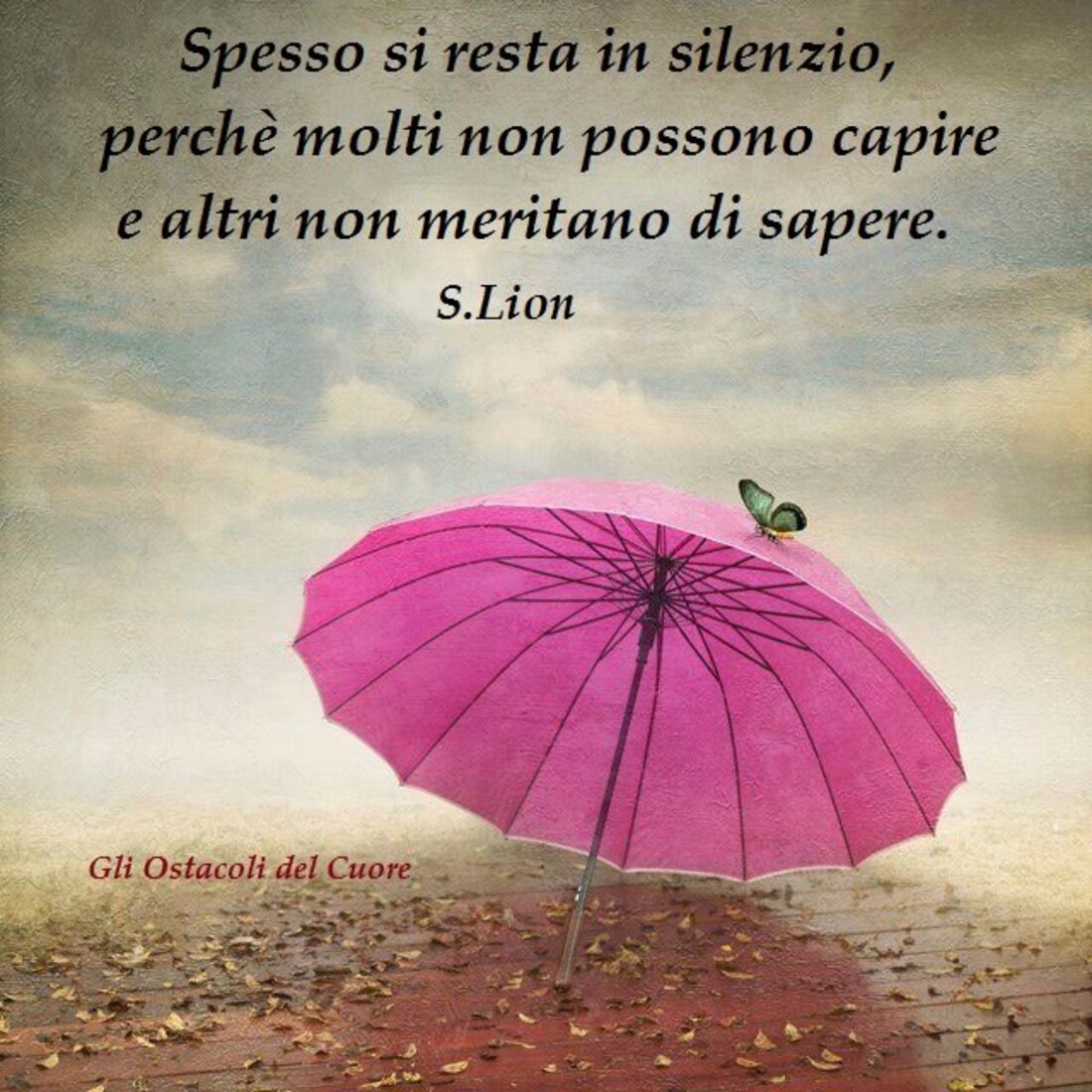 Spesso si resta in silenzio perchè molti non possono capire e altri non meritano di sapere