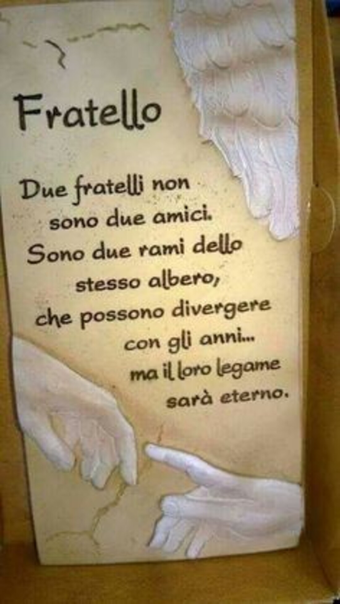 Fratello...due fratelli non sono due amici. Sono due rami dello stesso albero, che possono divergere con gli anni...ma il loro legame sarà eterno