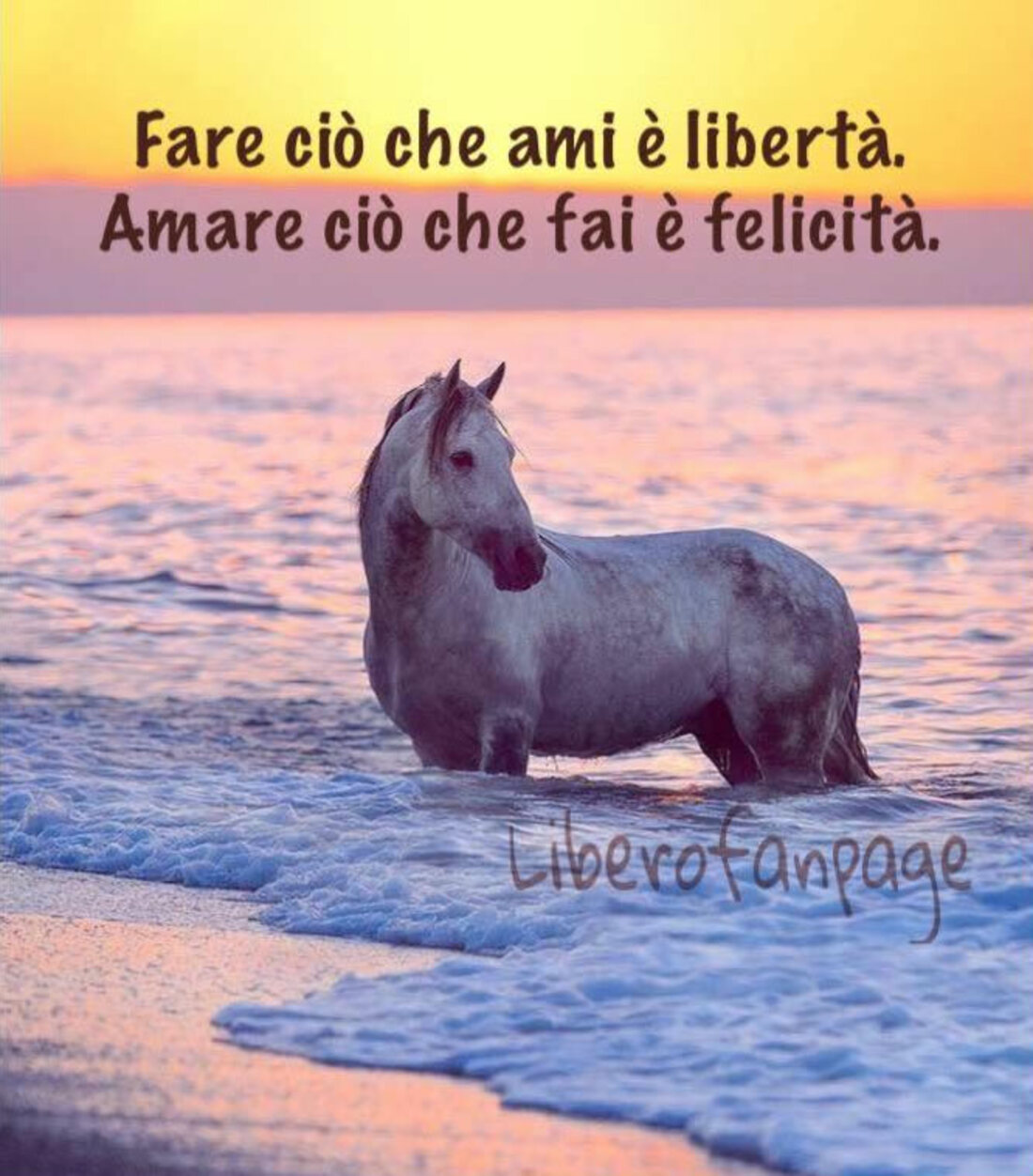 Fare ciò che ami è libertà. Amare ciò che fai è felicità.