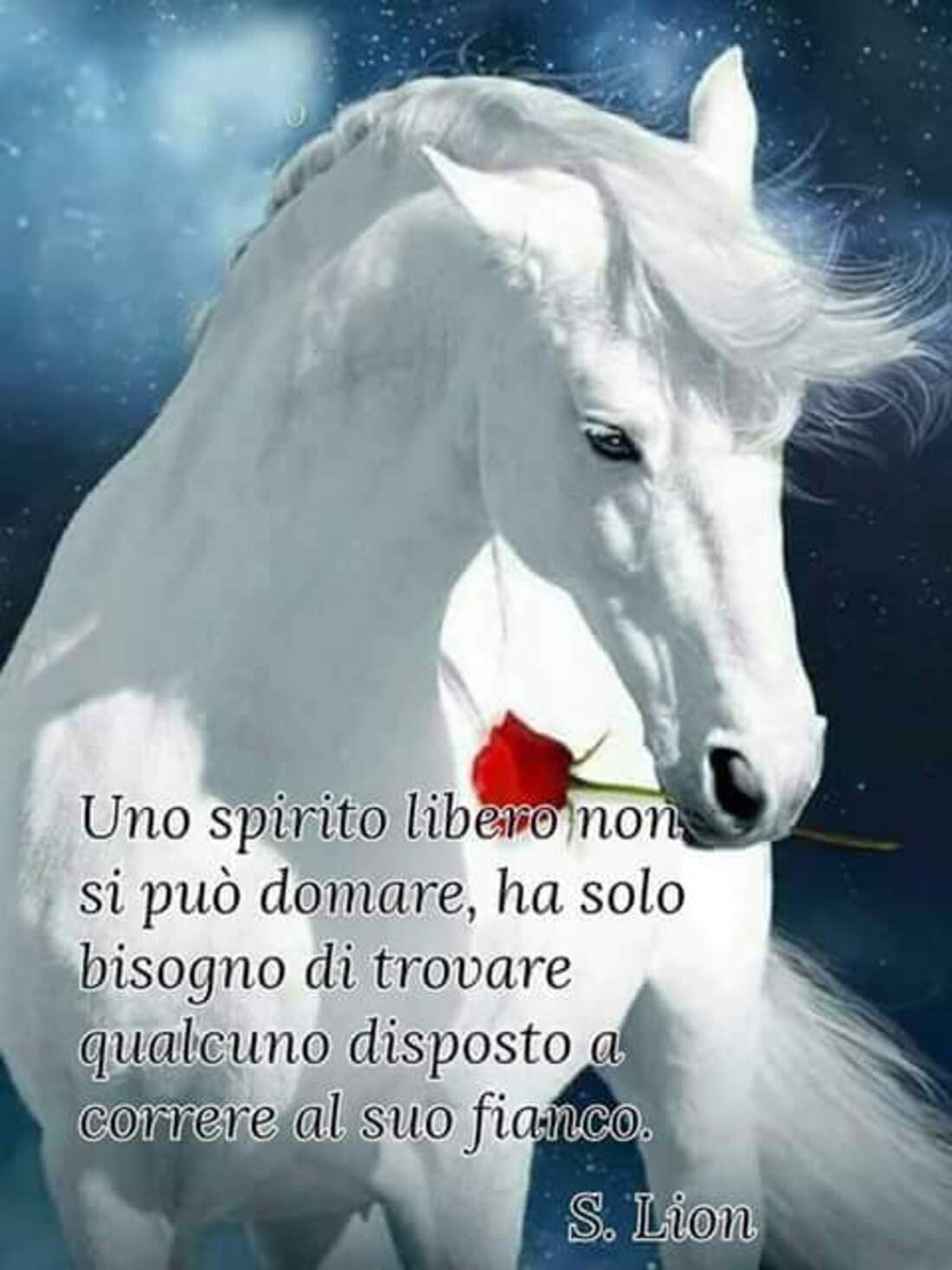 Uno spirito libero non si può domare, ha solo bisogno di trovare qualcuno disposto a correre al suo fianco