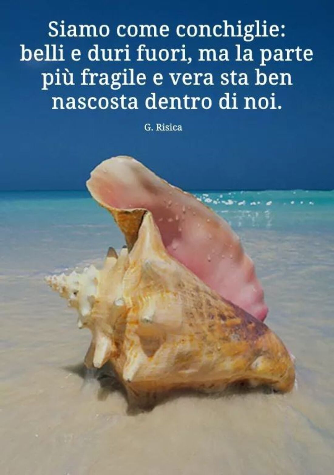Siamo come le conchiglie belli e duri fuori, ma la parte più fragile e vera sta bene nascosta dentro di noi
