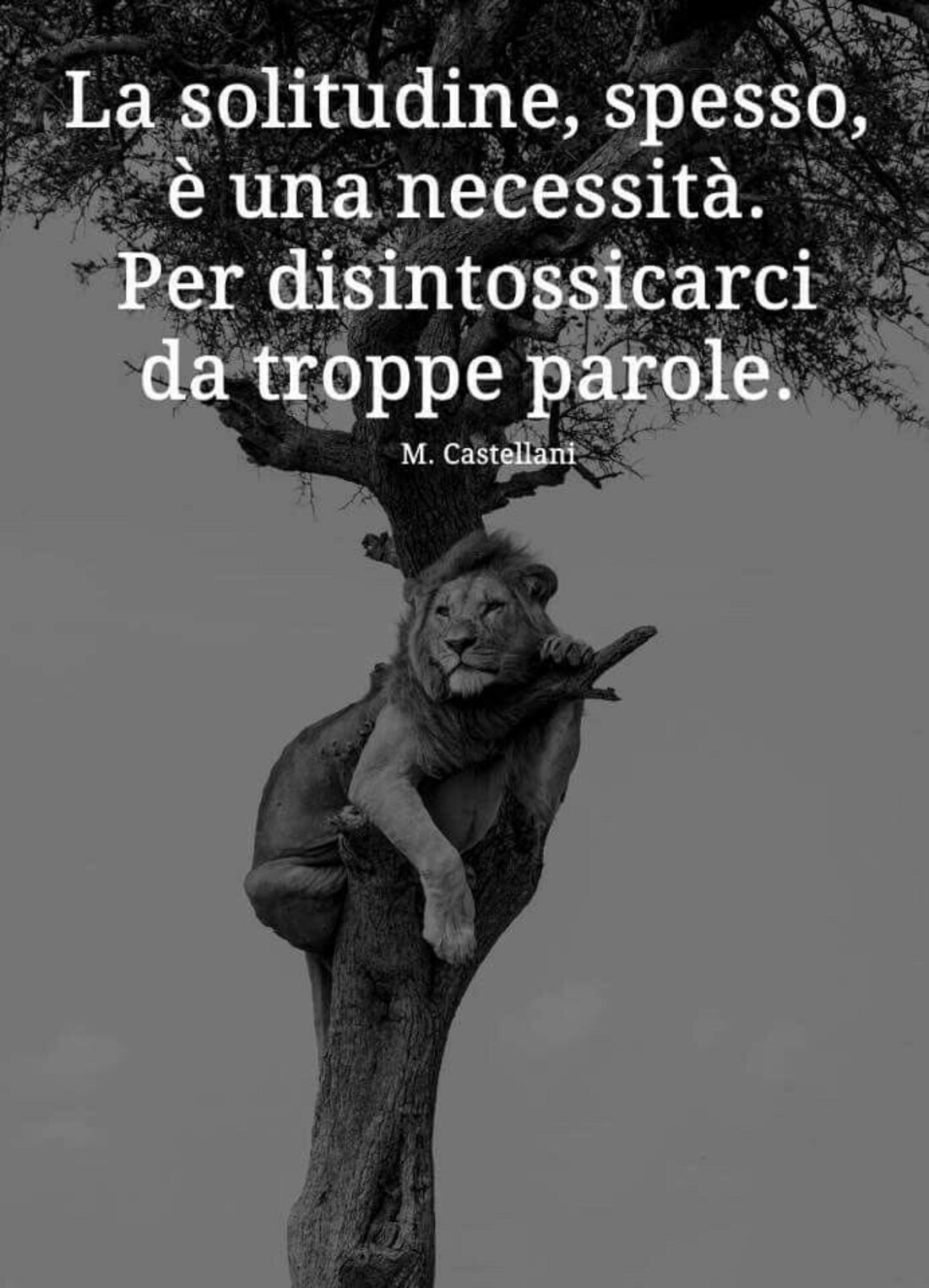 La solitudine, spesso, è una necessità. Per disintossicarci da troppe parole