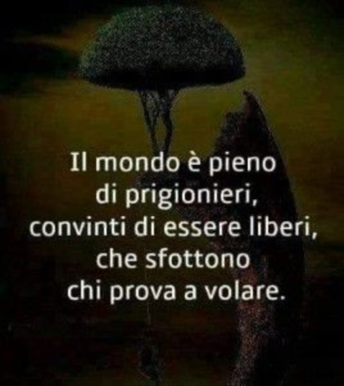 Il mondo è pieno di prigionieri, convintii di essere liberi, che prendono in giro chi prova a volare