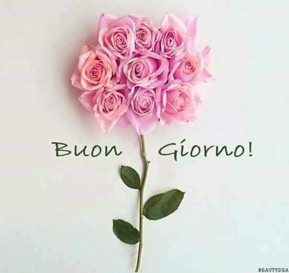 Buongiorno!