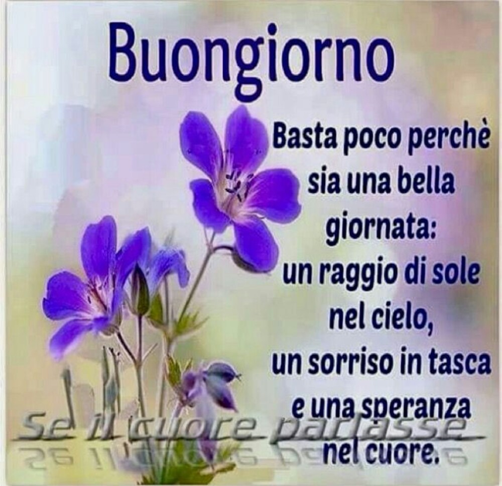 Buongiorno basta poco perchè sia una bella giornata: un raggio di sole, un sorriso in tasca e una speranza nel cuore.