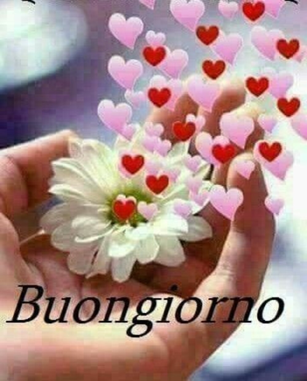Buongiorno