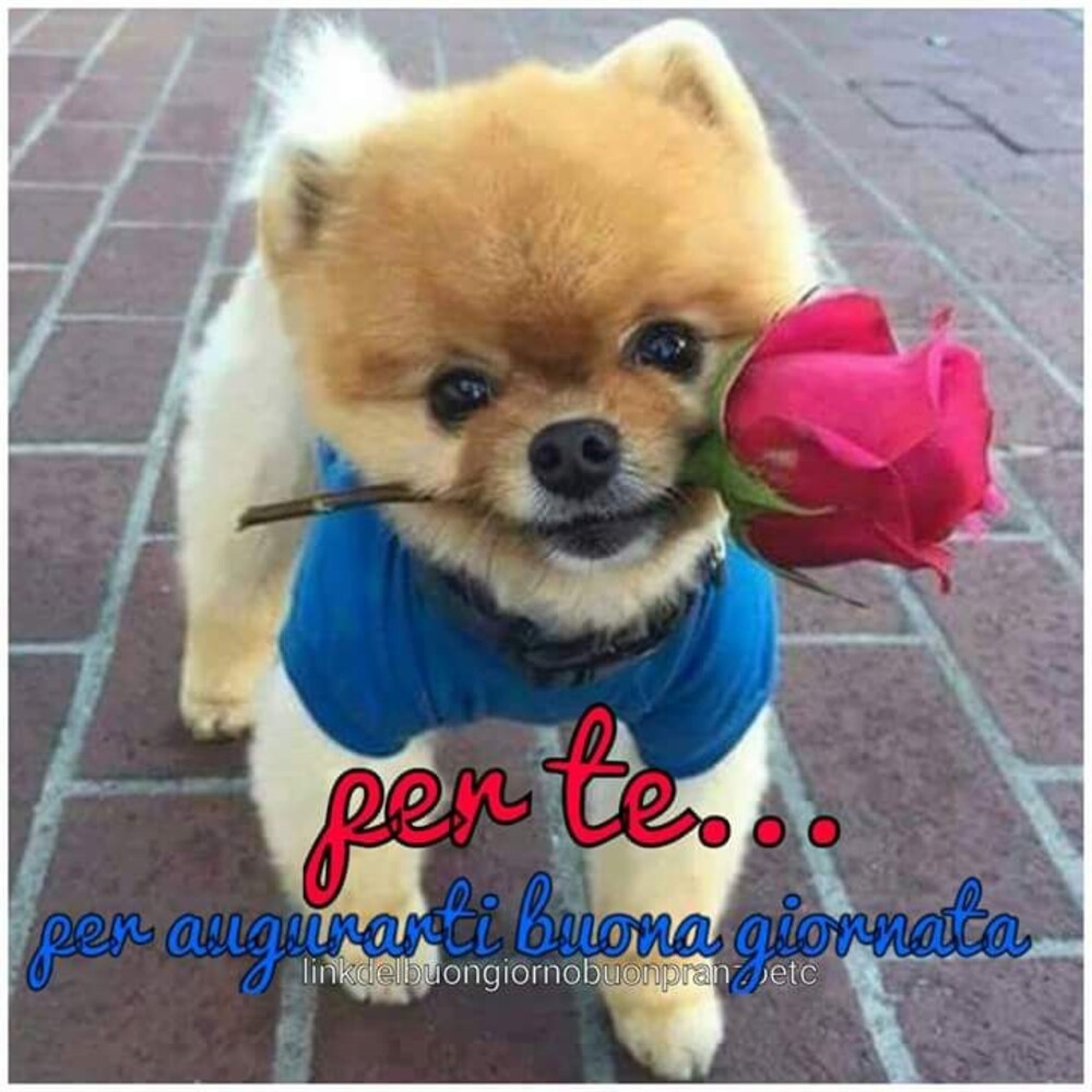 Per te per augurarti buona giornata