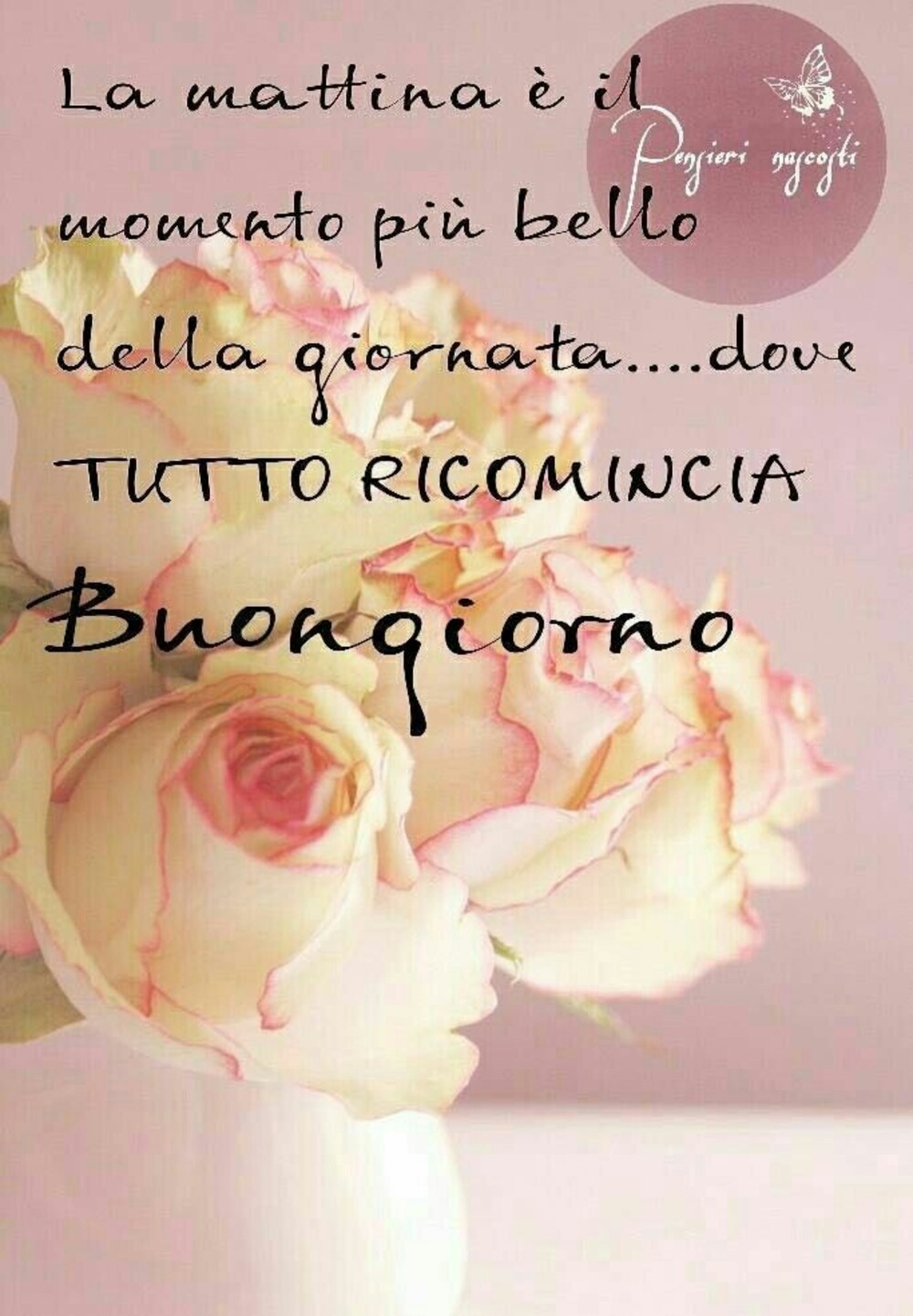 La mattina è il momento più bello della giornata...dove tutto ricomincia Buongiorno