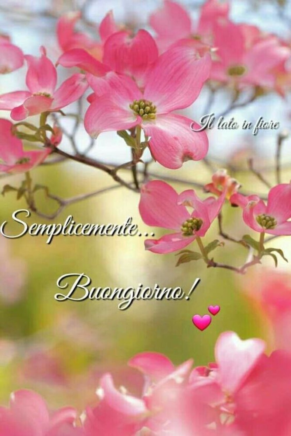 Semplicemente buongiorno