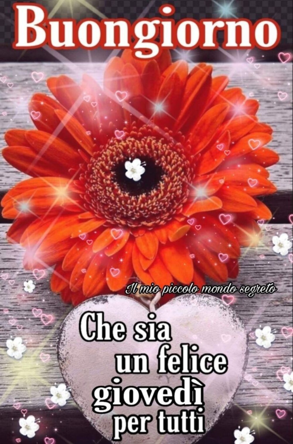 Buongiorno che sia un felice giovedì per tutti