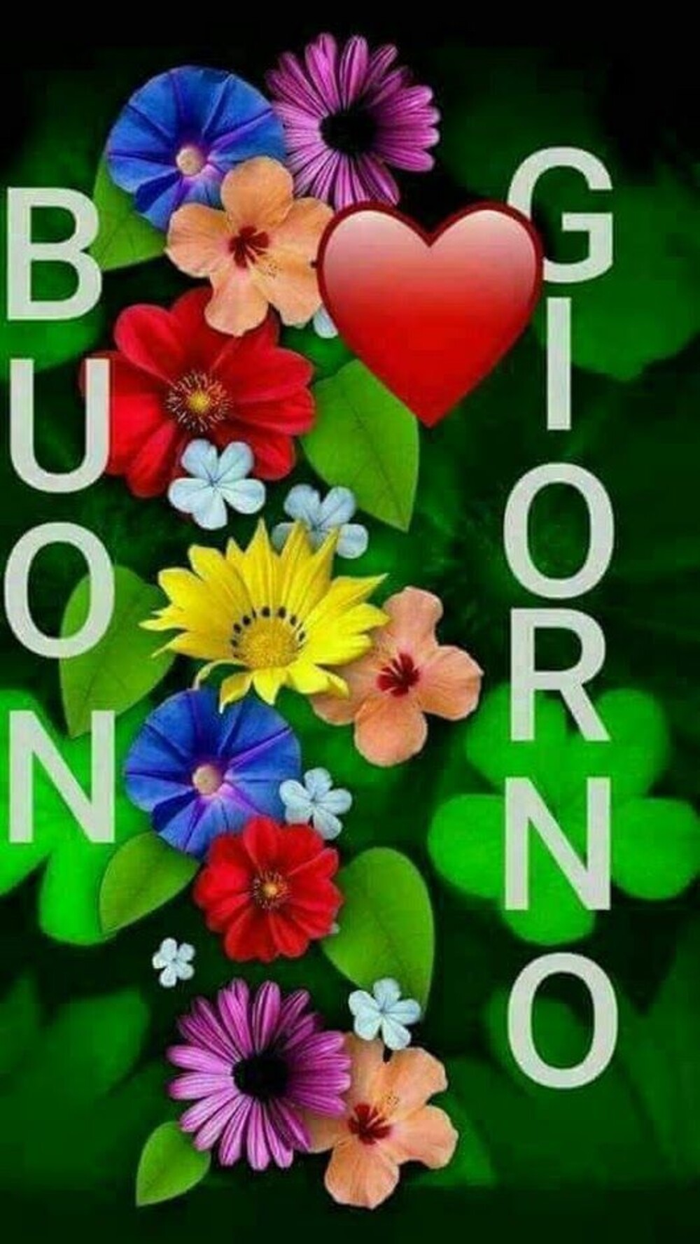 Buongiorno