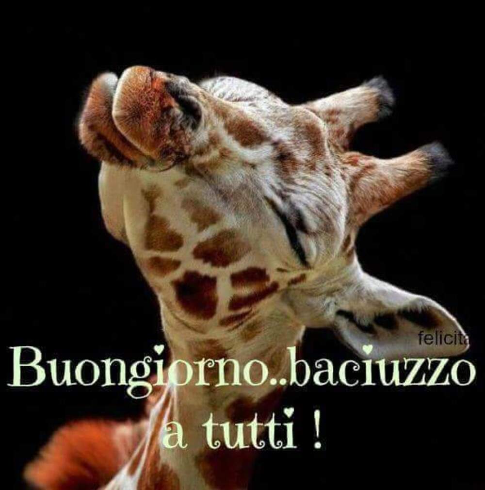 Buongiorno...un baciuzzo a tutti!