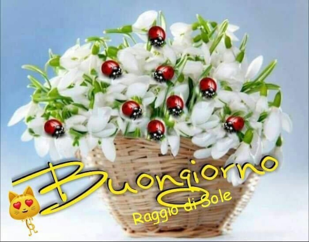 Buongiorno