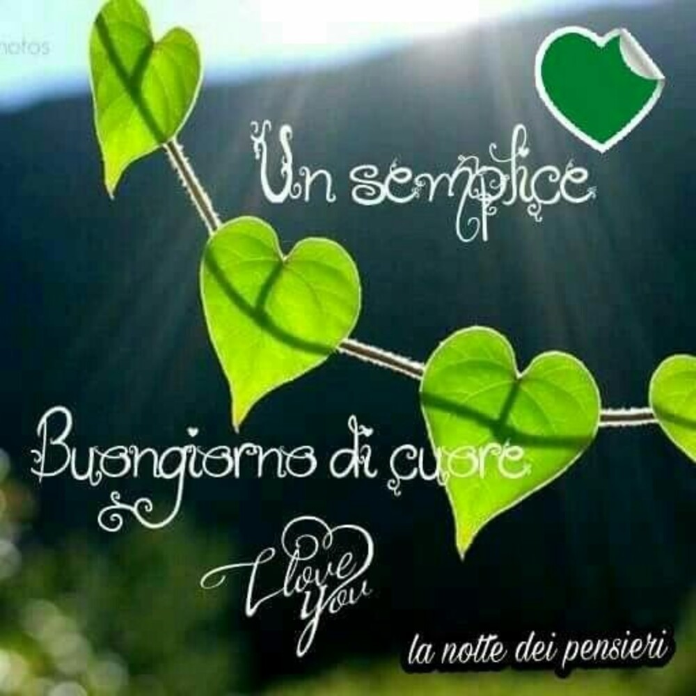 Un semplice buongiorno di cuore.