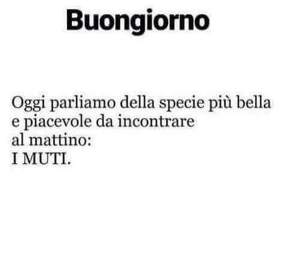 Buongiorno oggi parliamo della specie più bella e piacevole da incontrare al mattino: i muti