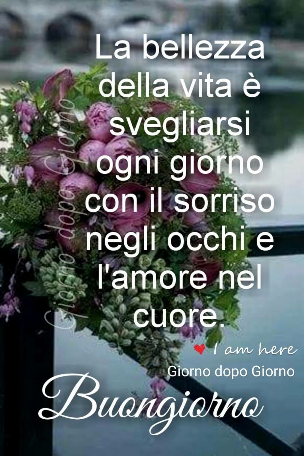 La bellezza della vita è svegliarsi ogni giorno con il sorriso negli occhi e l'amore nel cuore. Buongiorno