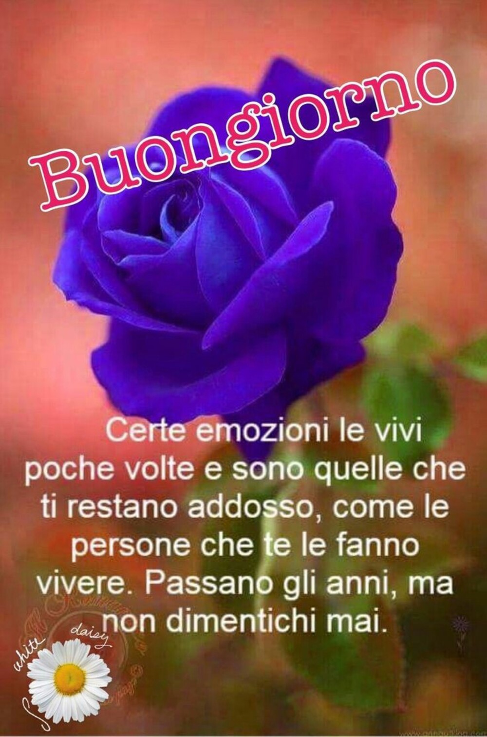 Buongiorno certe emozioni le vivi poche volte e sono quelle che ti restano addosso, come le persone che te le fanno vivere. Passano gli anni, ma non dimentichi mai