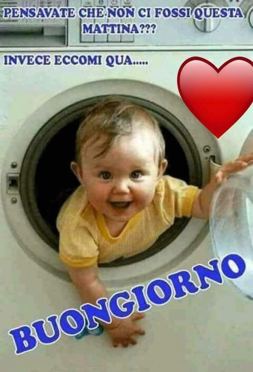 Pensavate che non ci fossi questa mattina? Invece eccoci qua...Buongiorno