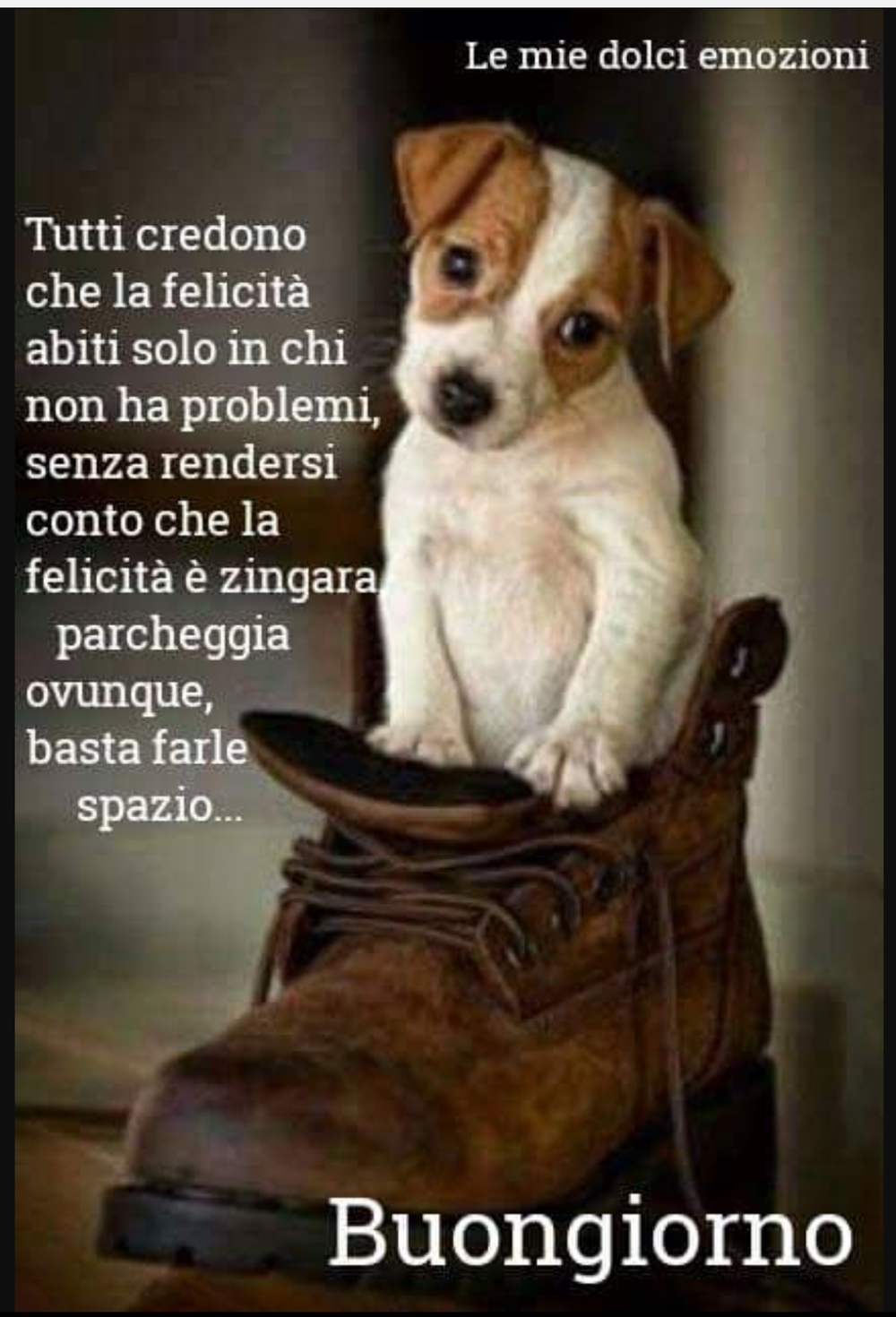 Buongiorno con belle frasi