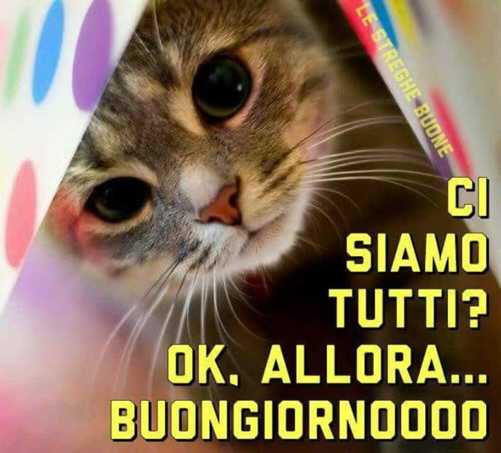 Ci siamo tutti? Ok allora...Buongiorno