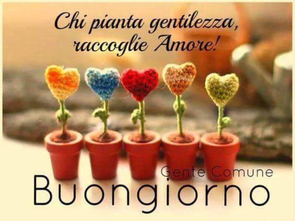 Chi pianta gentilezza raccoglie Amore! Buongiorno