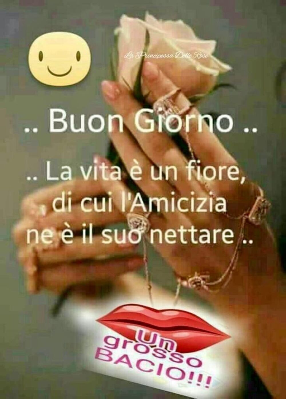 Buongiorno la vita è un fiore, di cui l'amicizia ne è il suo nettare..Un grosso bacio