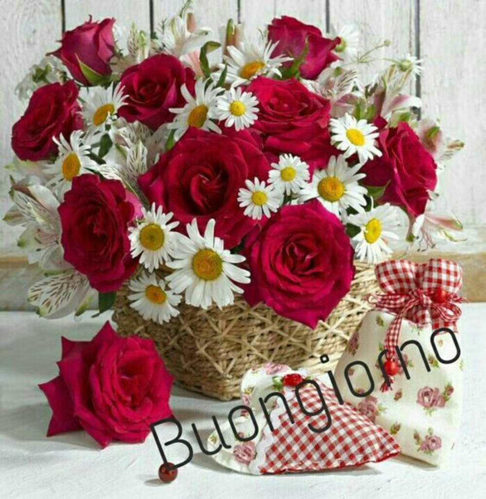 Buongiorno