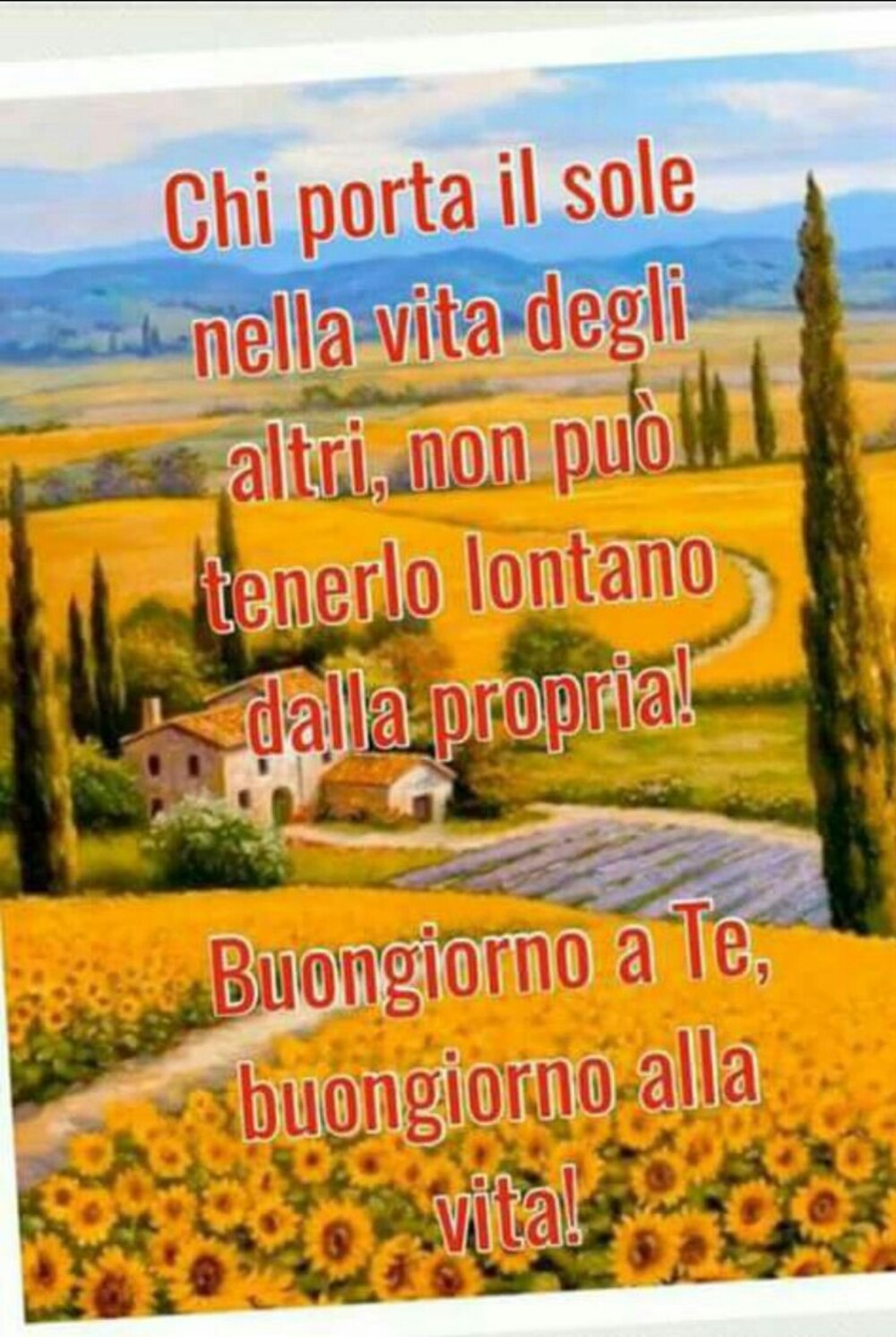 Chi porta il sole nella vita degli altri non può tenerlo lontano dalla propria! Buongiorno a te , buongiorno alla vita