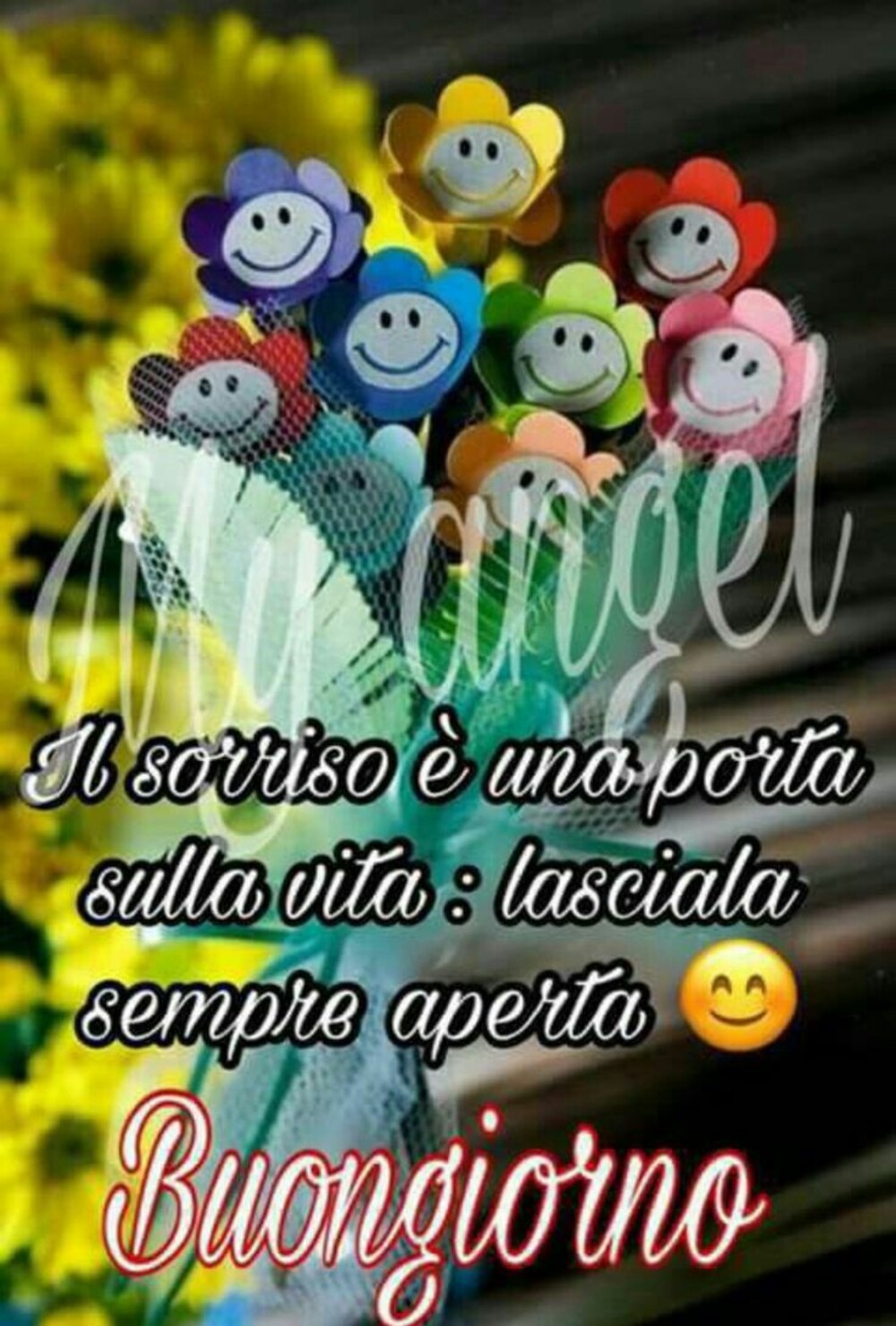 Il sorriso è una porta sulla vita: lasciala sempre aperta... Buongiorno