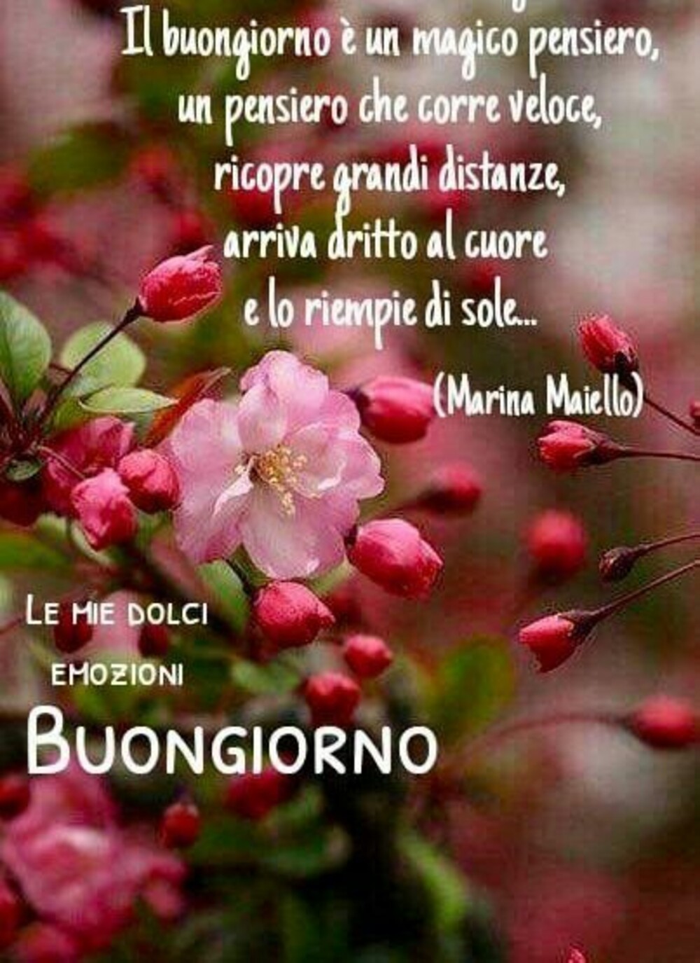 Il buongiorno è un magico pensiero, un pensiero che corre veloce che ricopre grandi distanze, arriva dritto al cuore e lo riempie di sole...Buongiorno