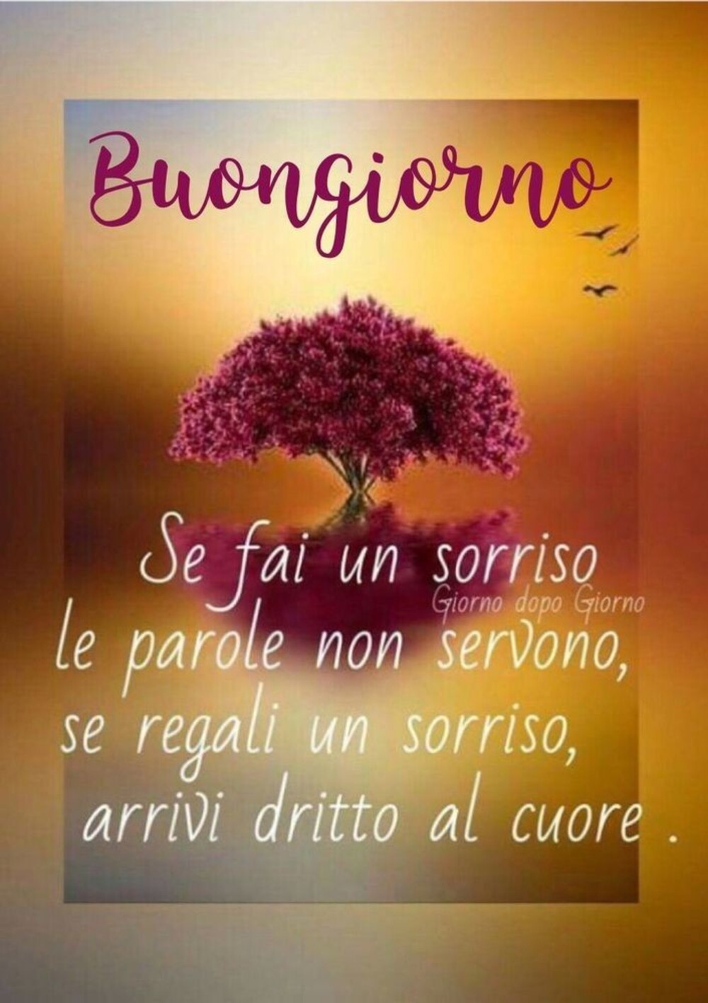 Buongiorno se fai un sorriso le parole non servono, se regali un sorriso, arrivi dritto al cuore.