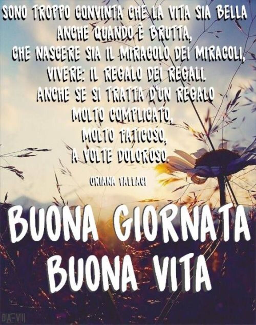 Son troppo convinta che la vita sia bella  anche quando è brutta, che nascere sia il miracolo dei miracoli, vivere il regalo dei regali anche se si tratta di un regalo molto complicato, molto faticoso e a volte doloroso! Buona giornata e Buona Vita