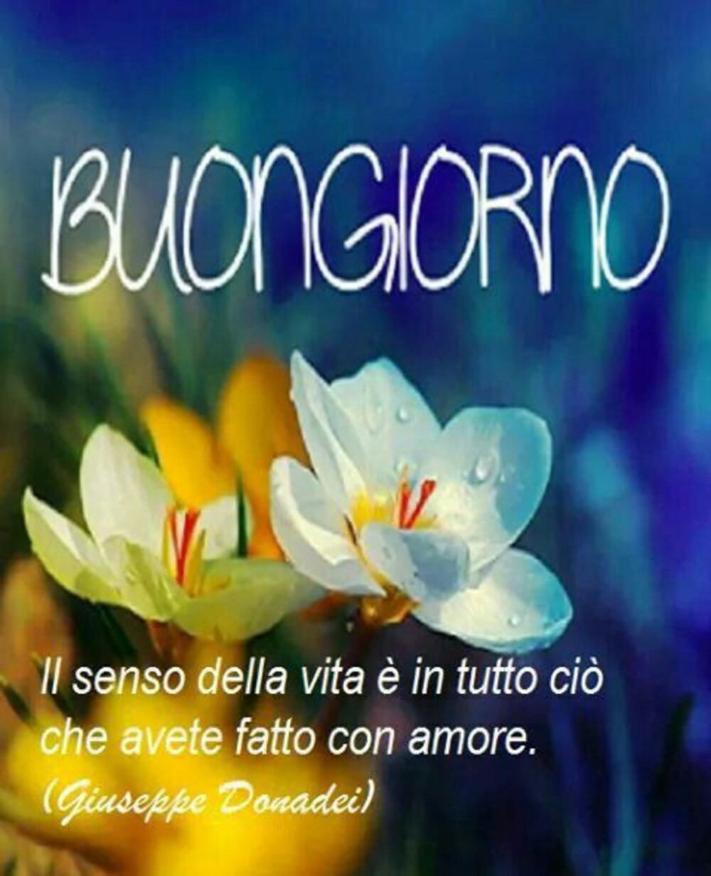 Buongiorno il senso della vita è in tutto ciò che avete fatto con amore. 