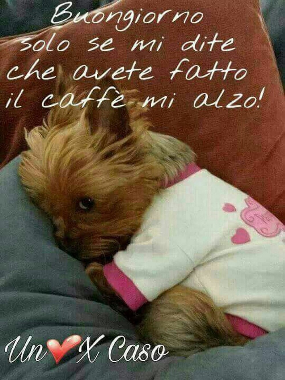 Buongiorno solo se mi dite che avete fatto il caffè, mi alzo!!