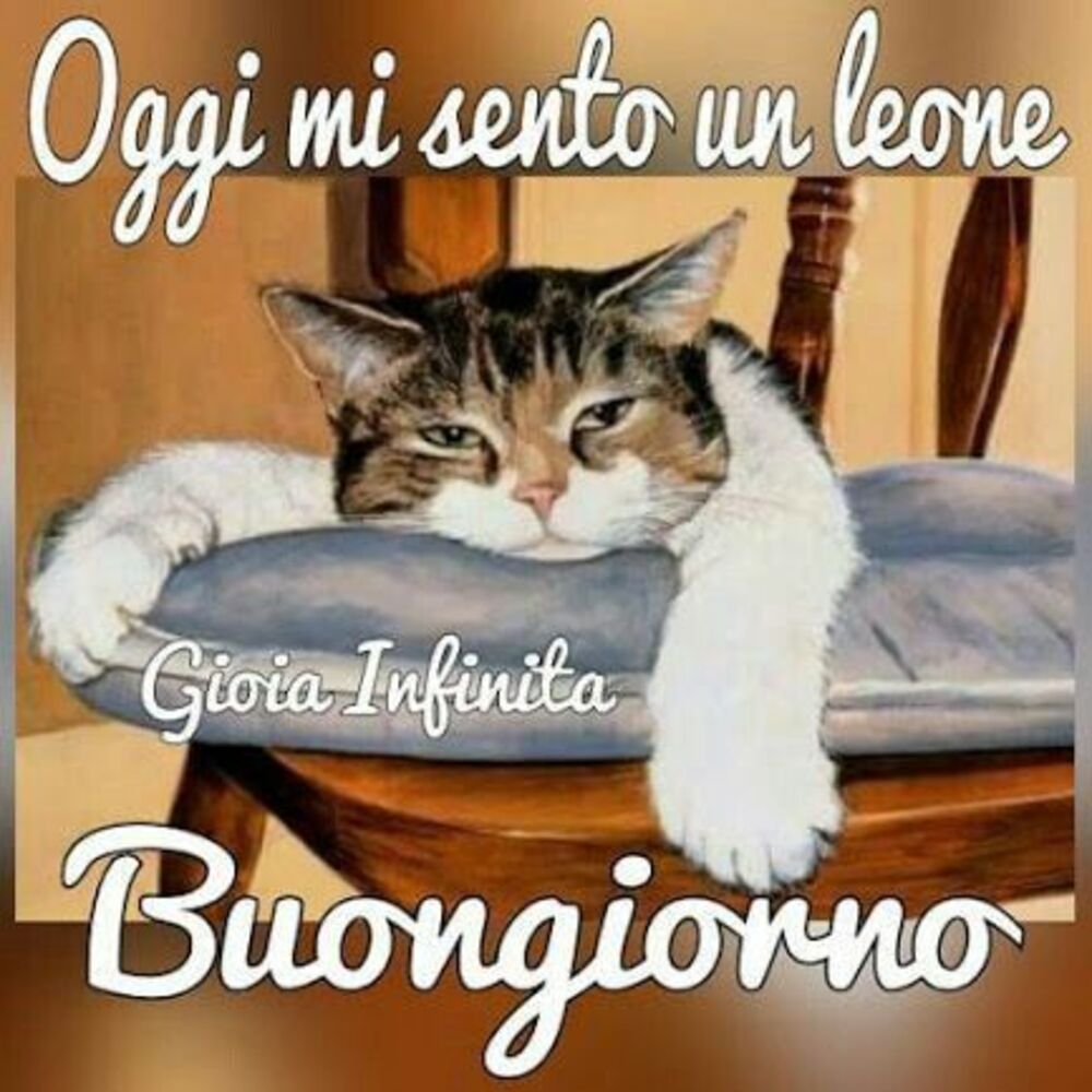 Oggi mi sento un leone! Buongiorno