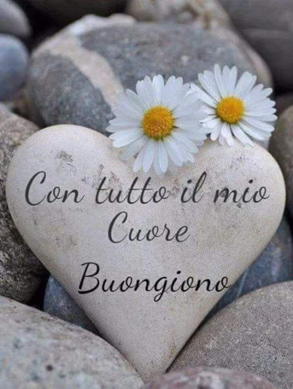 Con tutto il mio cuore Buongiorno