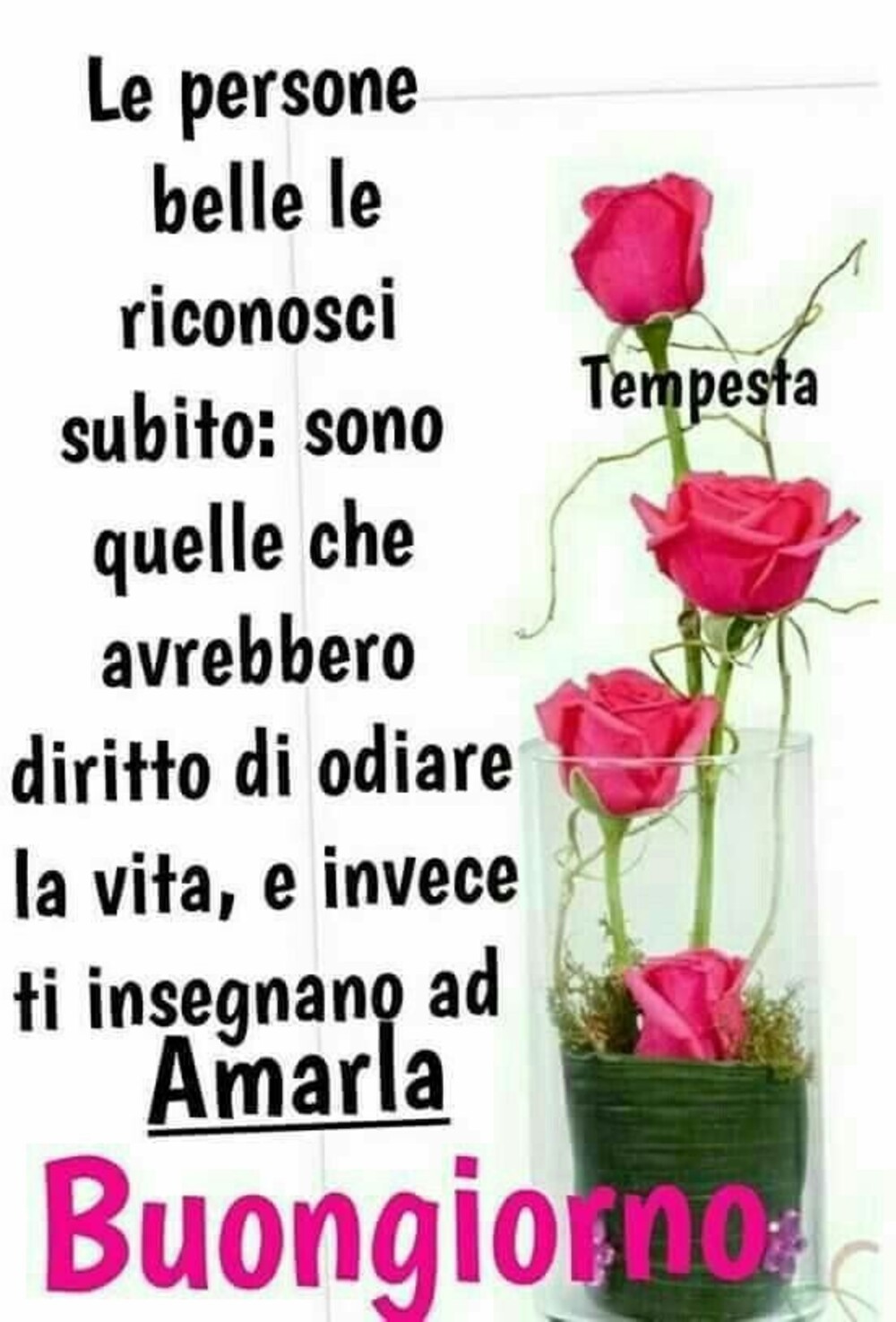 Le persone belle le riconosci subito: sono quelle che avrebbero diritto di odiare la vita, e invece ti insegnano ad amarla! Buongiorno