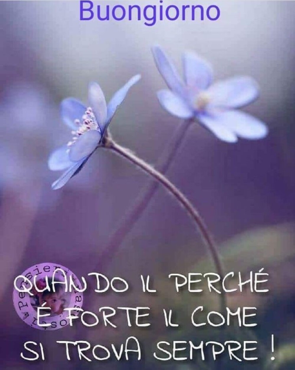 Buongiorno quando il perchè è forte, il come si trova sempre!