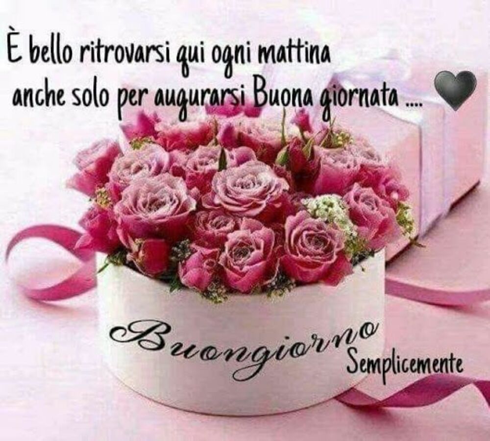 E' bello ritrovarsi qui per ogni mattina anche solo per augurarsi Buona giornata... Buongiorno