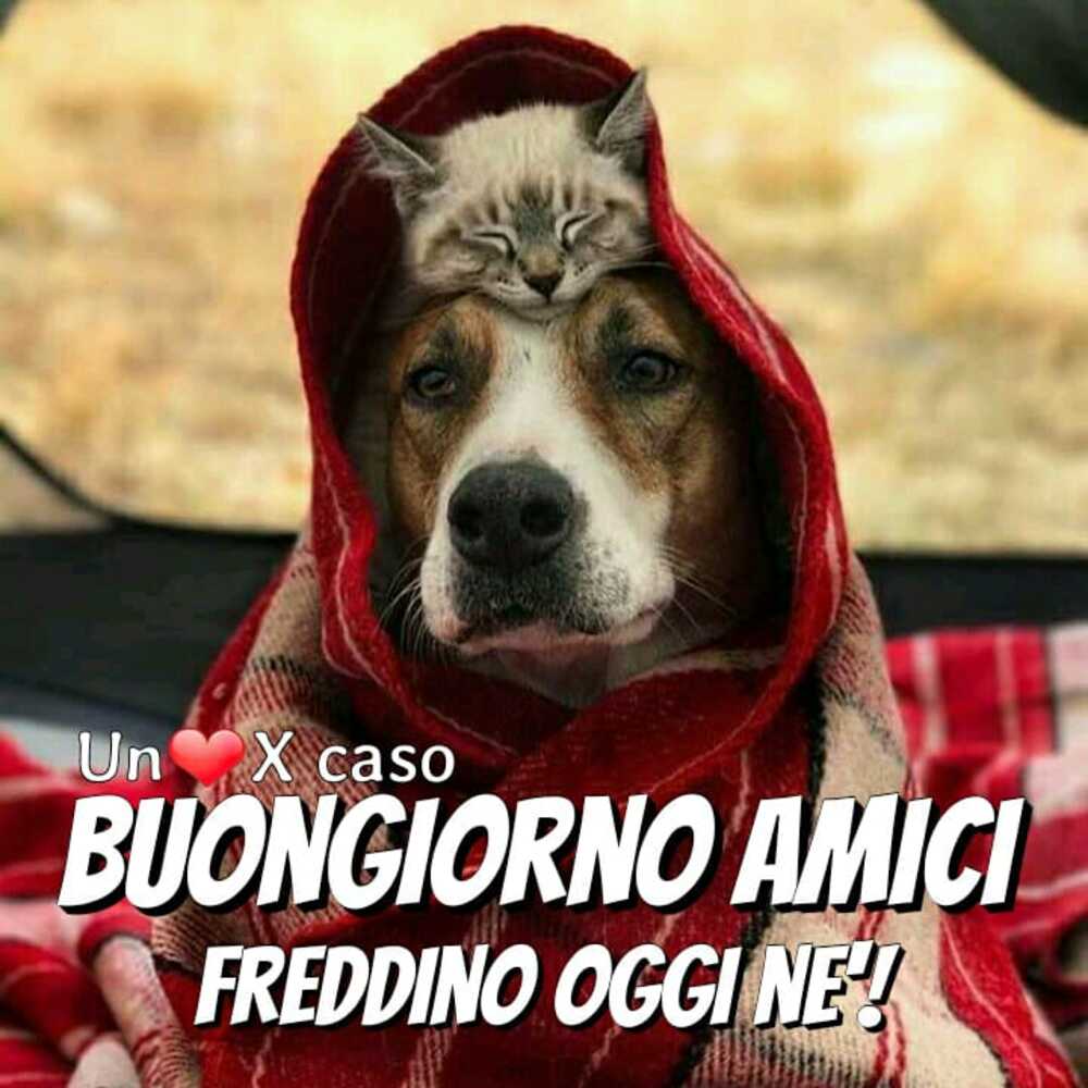 Buongiorno amici freddino oggi nè!