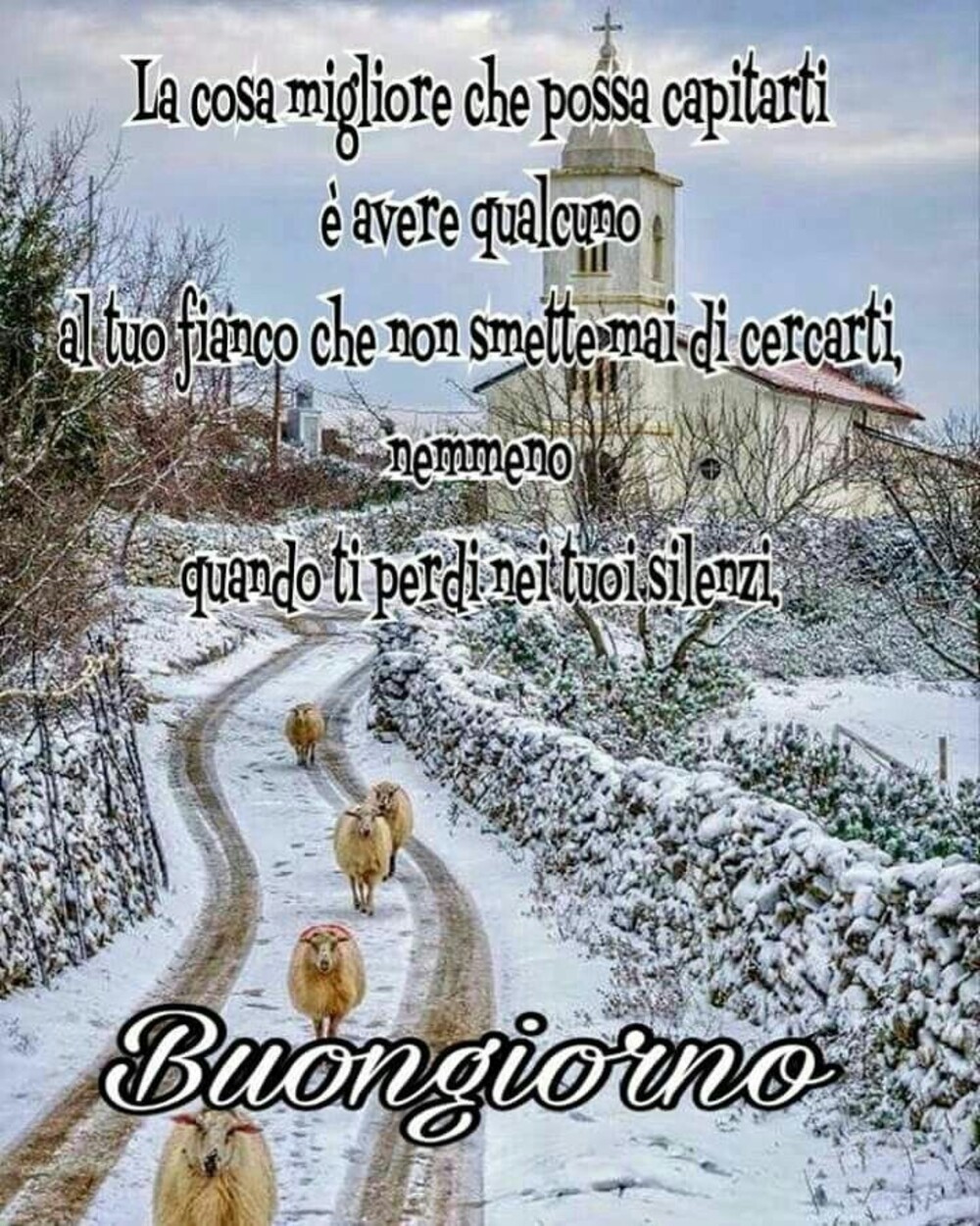 La cosa migliore che possa capitarti è avere qualcuno  al tuo fianco che non smette di cercarti nemmeno quando ti perdi nei tuoi silenzi! Buongiorno