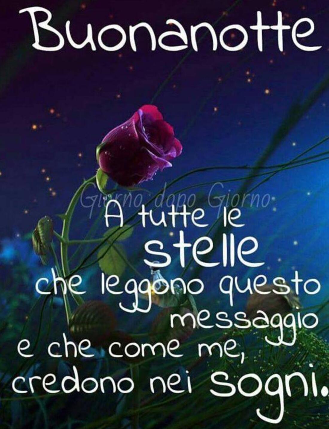 Buonanotte a tutte le stelle che leggono questo messaggio e che come me, credono nei sogni.