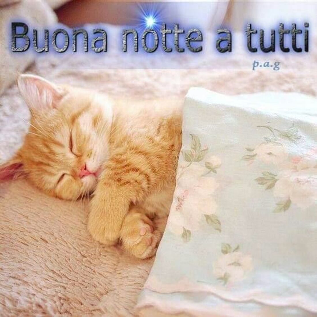 Buona notte a tutti